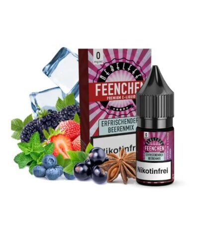 Nebelfee Nikotinsalz Liquid 10ml Erfrischender Beerenmix 0mg