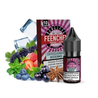 Nebelfee Nikotinsalz Liquid 10ml Erfrischender Beerenmix